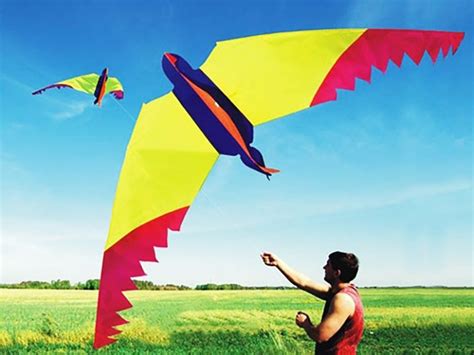 kite for adults|More.